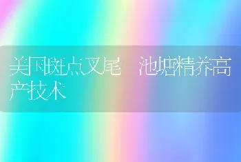 美国斑点叉尾鮰池塘精养高产技术