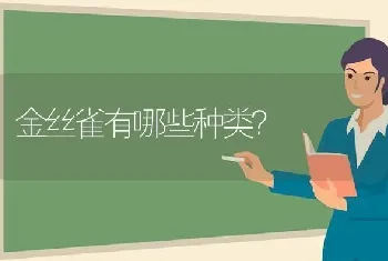 金丝雀有哪些种类？