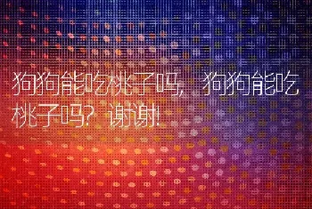 狗狗能吃桃子吗，狗狗能吃桃子吗？谢谢!