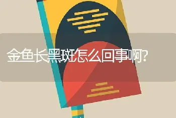 金鱼长黑斑怎么回事啊？