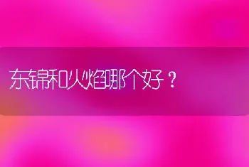 东锦和火焰哪个好？