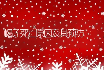 蝎子死亡原因及其预防