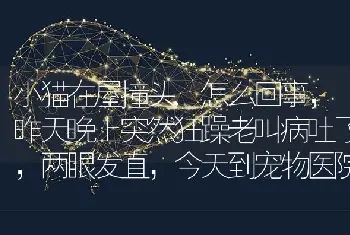 中元节狗叫是什么原因？