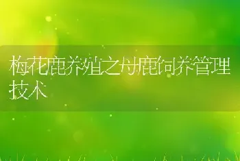 梅花鹿养殖之母鹿饲养管理技术