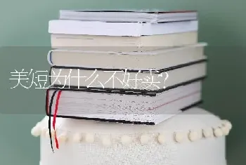 美短为什么不好卖？