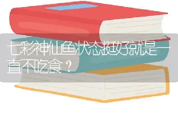 七彩神仙鱼状态挺好就是一直不吃食？