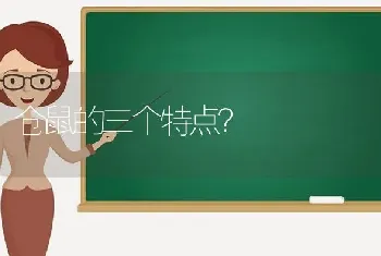 仓鼠的三个特点？