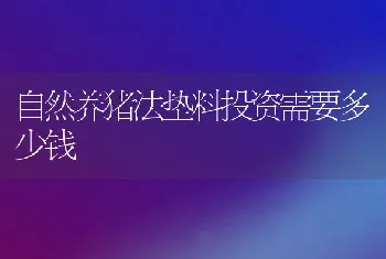 自然养猪法垫料投资需要多少钱