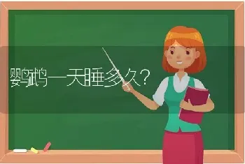 鹦鹉一天睡多久？