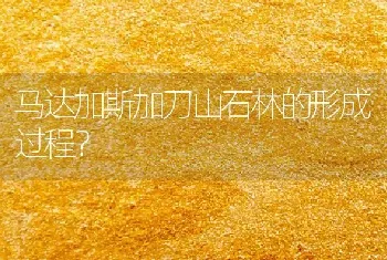 马达加斯加刀山石林的形成过程？