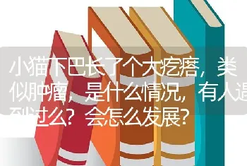 小猫下巴长了个大疙瘩，类似肿瘤，是什么情况，有人遇到过么?会怎么发展？