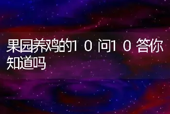 果园养鸡的10问10答你知道吗