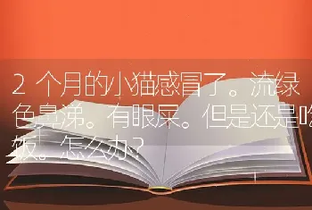 2个月的小猫感冒了。流绿色鼻涕。有眼屎。但是还是吃饭。怎么办？