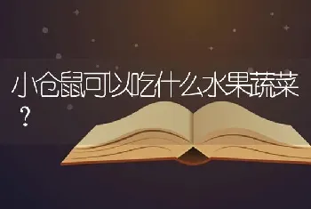 小仓鼠可以吃什么水果蔬菜？