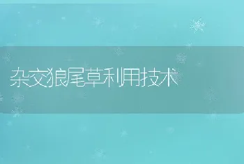 饲料调味剂、诱食剂在畜禽生产中的应用