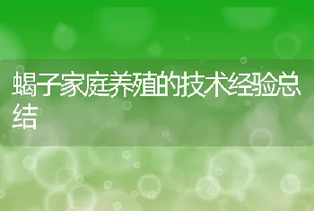 病虫防治：肉鸽流行性感冒防治