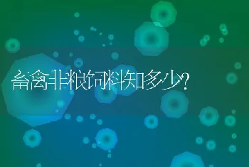 畜禽非粮饲料知多少？