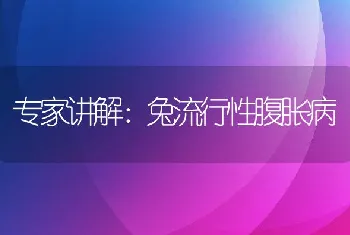 江苏扬州仪征市小型水库高产高效养鱼技术经验分享