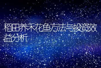 稻田养禾花鱼方法与投资效益分析