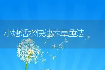 小塘活水快速养草鱼法