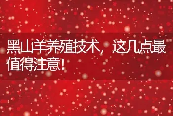 黑山羊养殖技术，这几点最值得注意！