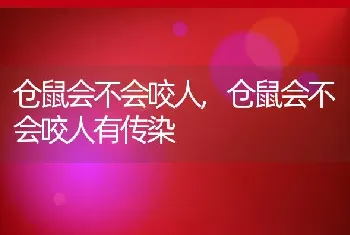 仓鼠会不会咬人，仓鼠会不会咬人有传染