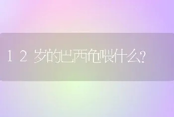 12岁的巴西龟喂什么？