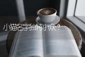 小猫名字独特小众？