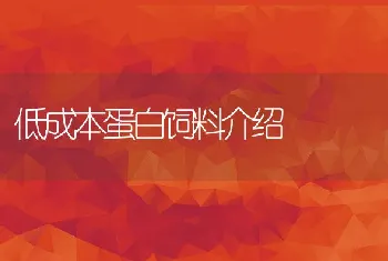 低成本蛋白饲料介绍