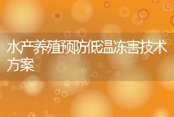 水产养殖预防低温冻害技术方案