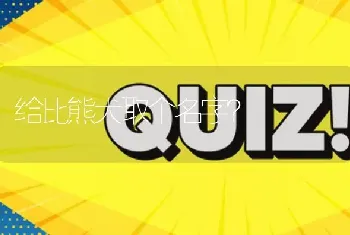 给比熊犬取个名字？