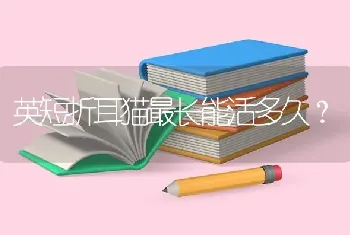 斗牛犬要长到几个月基本定型？