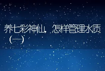 养七彩神仙，怎样管理水质（一）