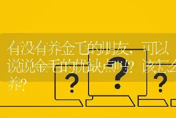 有没有养金毛的朋友，可以说说金毛的优缺点吗？该怎么养？