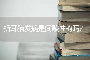 折耳猫发病是间歇性的吗？