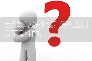 金毛幼崽多少钱？怎么鉴别是不是纯的？