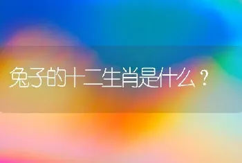 兔子的十二生肖是什么？