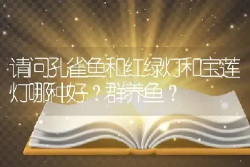 请问孔雀鱼和红绿灯和宝莲灯哪种好？群养鱼？