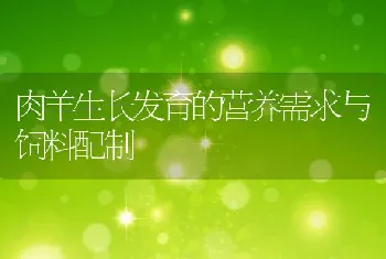 肉羊生长发育的营养需求与饲料配制