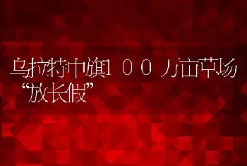 乌拉特中旗100万亩草场放长假