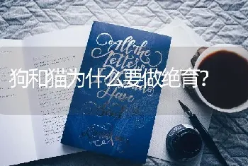 狗和猫为什么要做绝育？