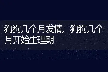 狗狗几个月发情，狗狗几个月开始生理期