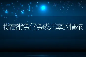 提高獭兔仔兔成活率的措施