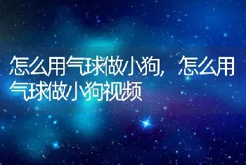 怎么用气球做小狗，怎么用气球做小狗视频