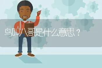 鸟叫八哥是什么意思？