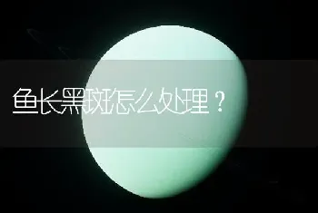 鱼长黑斑怎么处理？