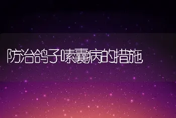 防治鸽子嗉囊病的措施