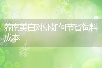 养南美白对虾如何节省饲料成本