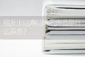 猫发出咕噜咕噜的声音是什么意思？