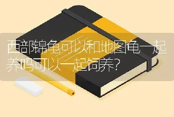 小狗记仇怎么办？